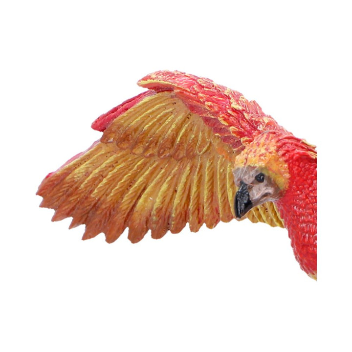 Harry Potter Fawkes in Fl