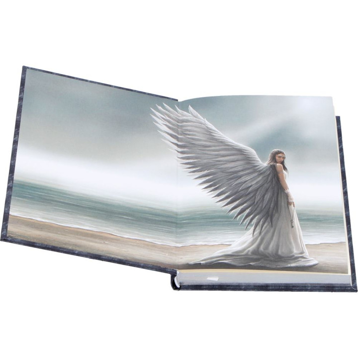 Spirit Guide Journal (AS)