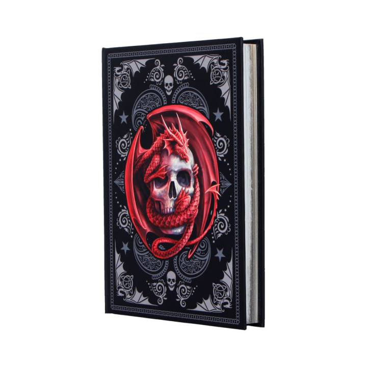 Skull Embrace Journal (AS