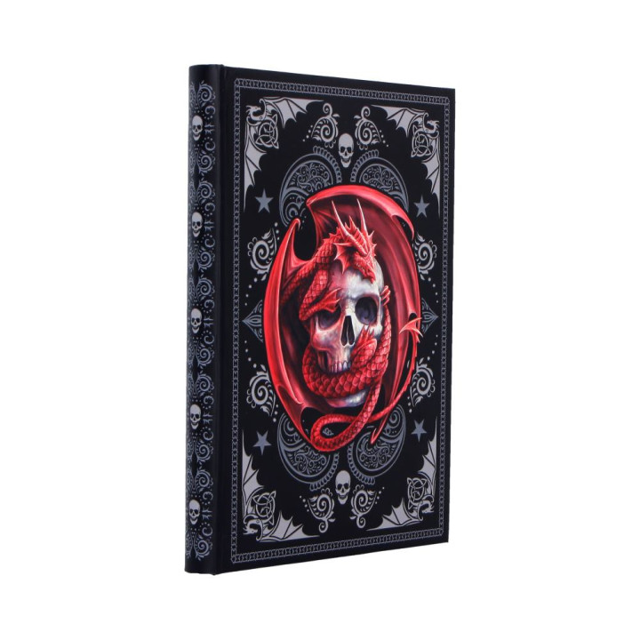Skull Embrace Journal (AS