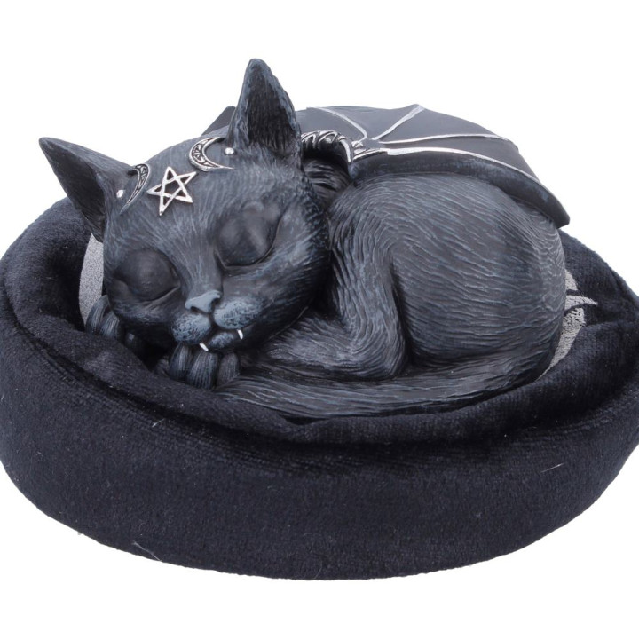 Malpuss Dreams