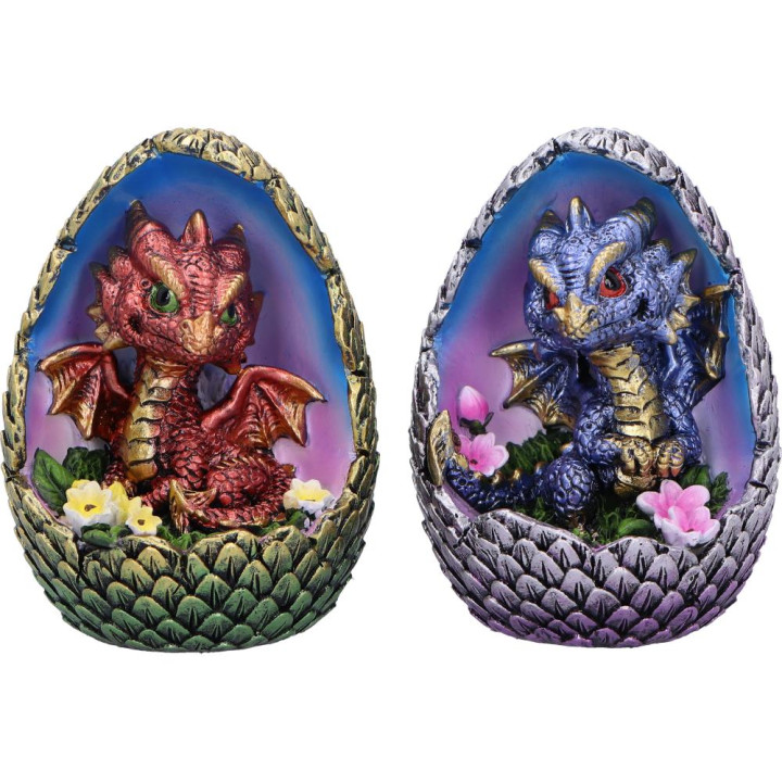 Blooming Brood (Set of 4)