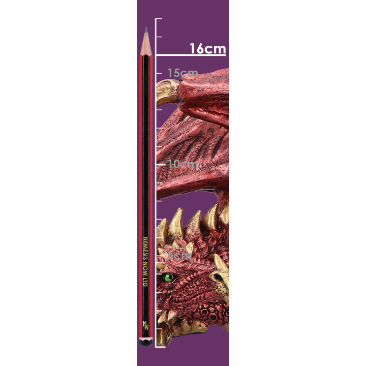 Aaden (Large)