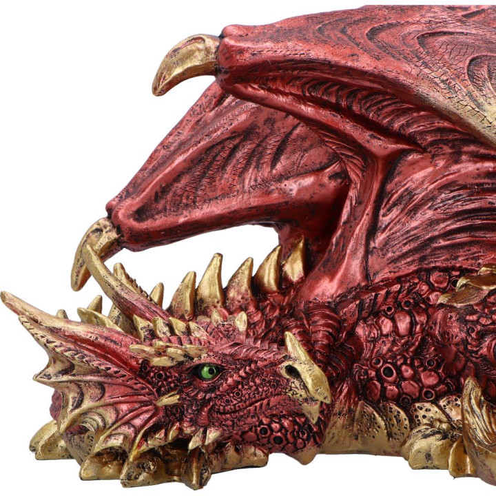 Aaden (Large)