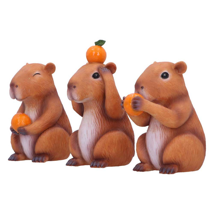 Three Wise Capybaras 10.5