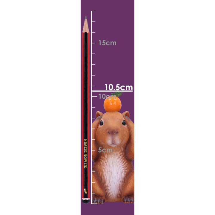 Three Wise Capybaras 10.5