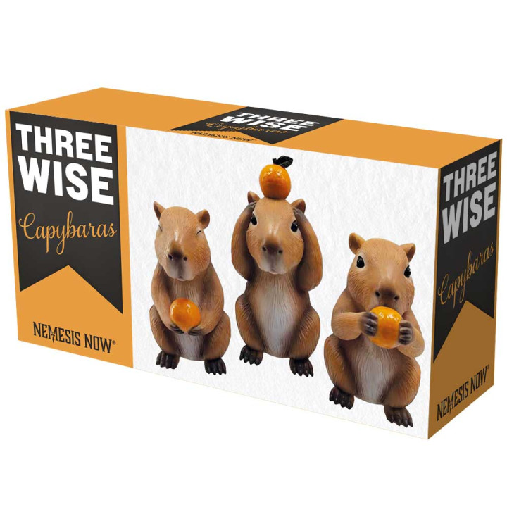 Three Wise Capybaras 10.5
