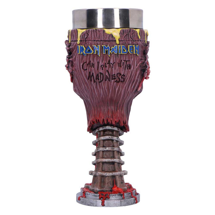 Iron Maiden Can I Play Wi