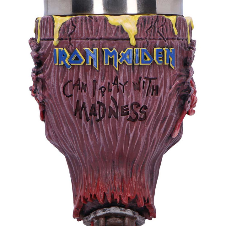 Iron Maiden Can I Play Wi