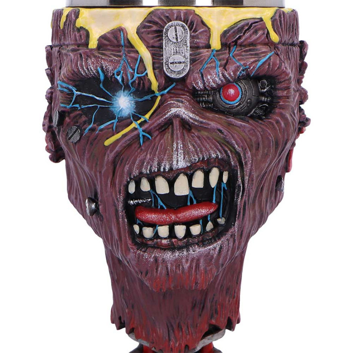 Iron Maiden Can I Play Wi