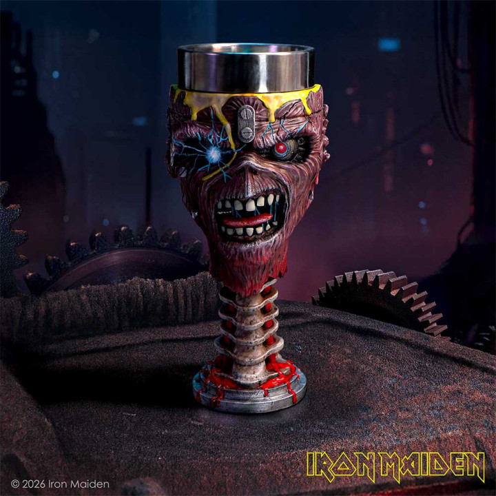 Iron Maiden Can I Play Wi