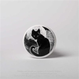 Black Cat