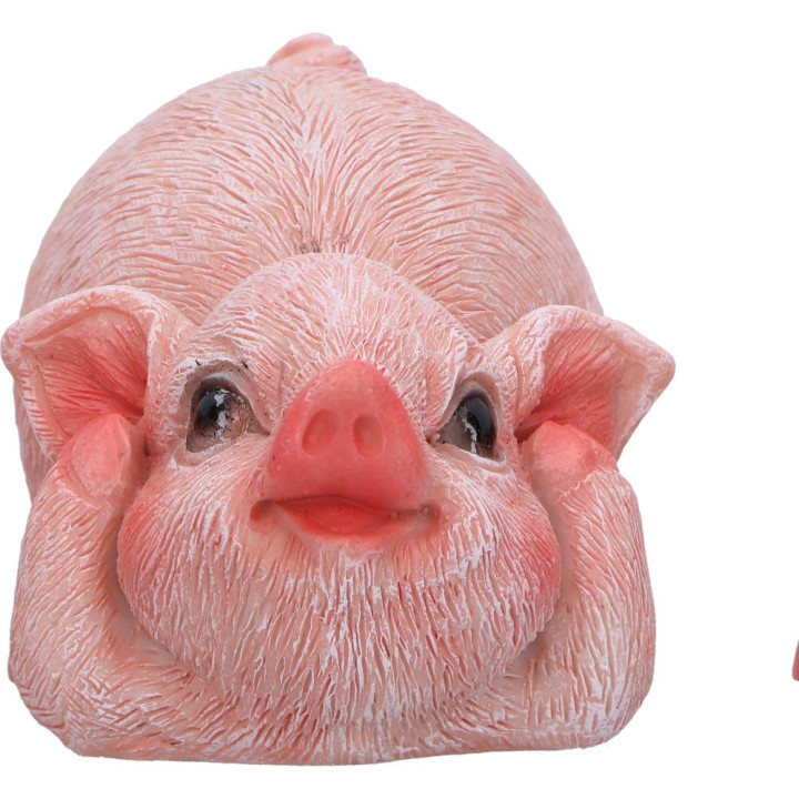 Three Wise Playful Pigs