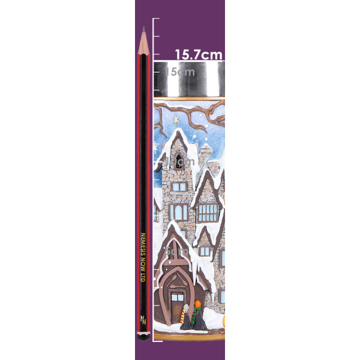 Harry Potter Hogsmeade Vi