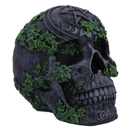 Aged Pentagram Skull 18.8