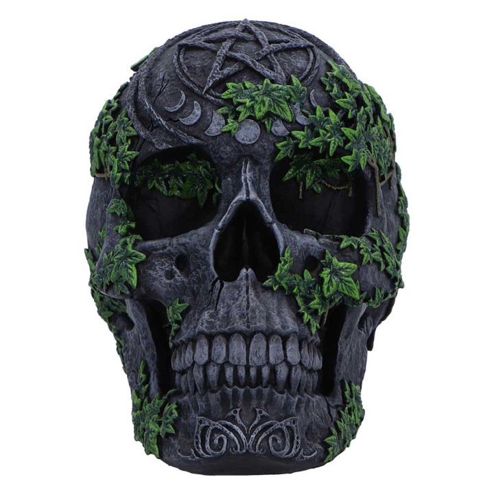 Aged Pentagram Skull 18.8