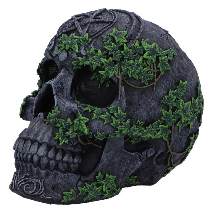 Aged Pentagram Skull 18.8