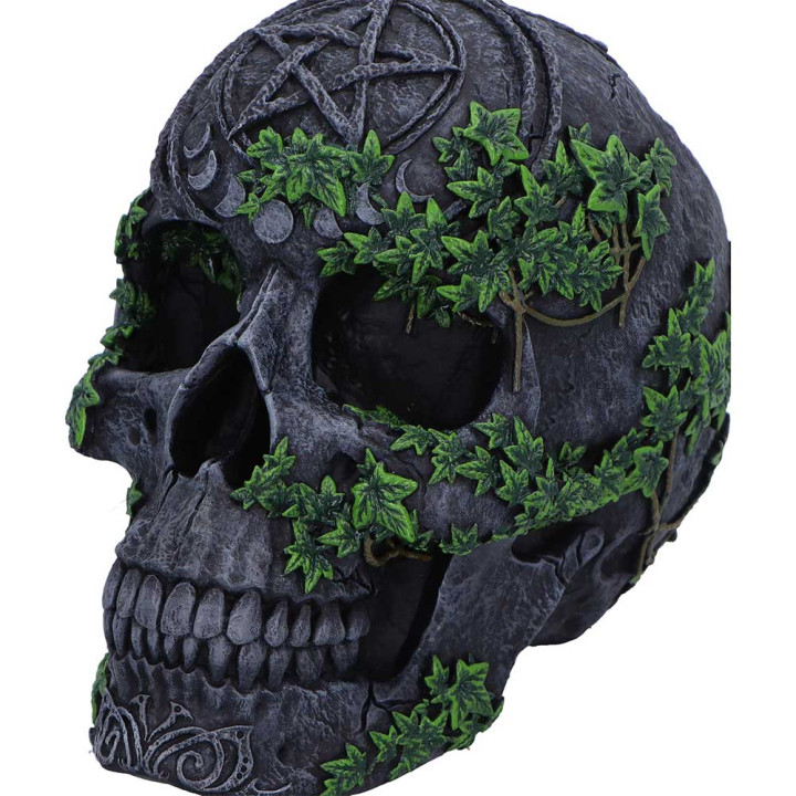 Aged Pentagram Skull 18.8