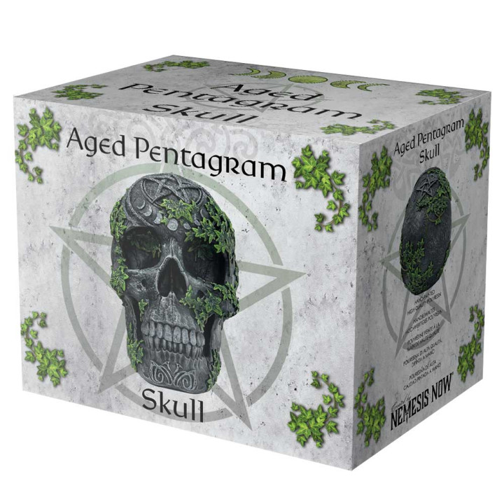 Aged Pentagram Skull 18.8