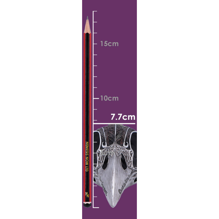 Quoth The Raven 20.2cm