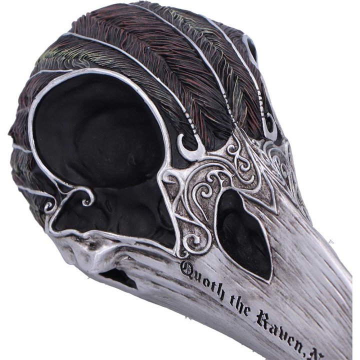 Quoth The Raven 20.2cm