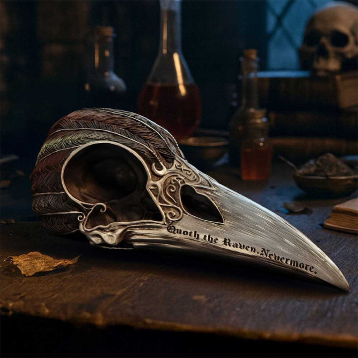 Quoth The Raven 20.2cm