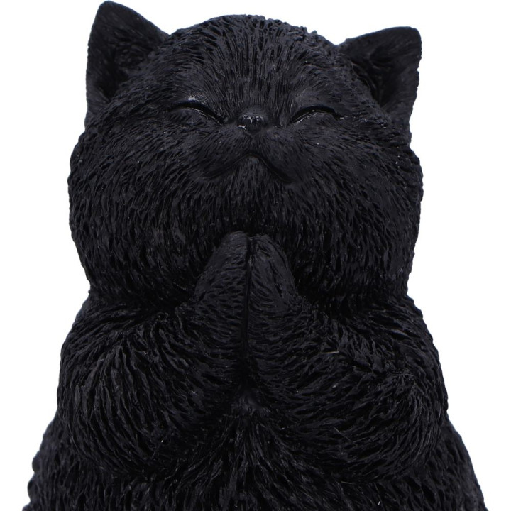 Whisker Wish