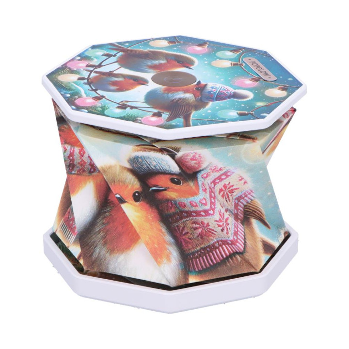 Winter Robins Foldable La