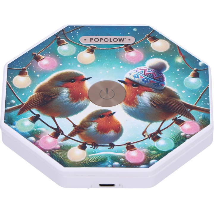 Winter Robins Foldable La
