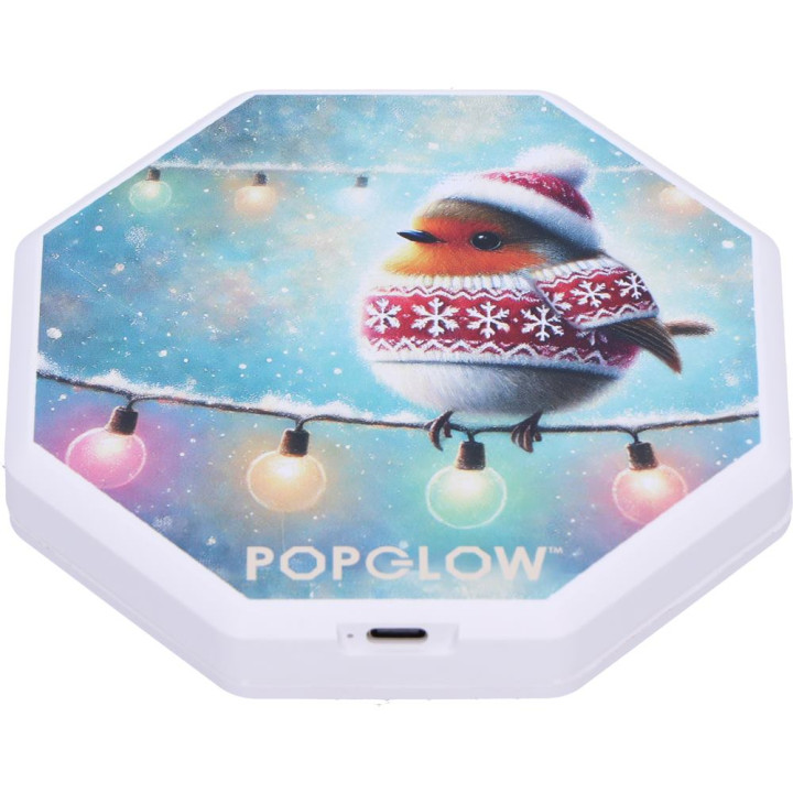 Winter Robins Foldable La
