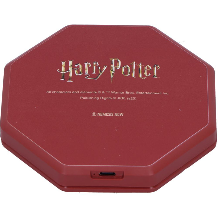 Harry Potter First Year a