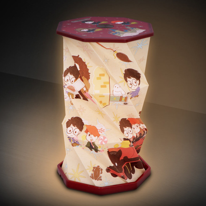 Harry Potter First Year a