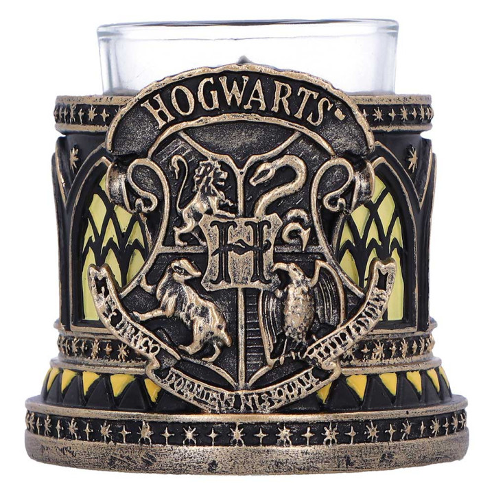 Harry Potter Hufflepuff T