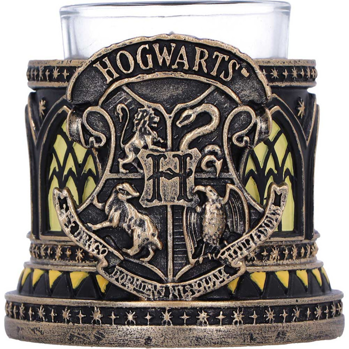 Harry Potter Hufflepuff T