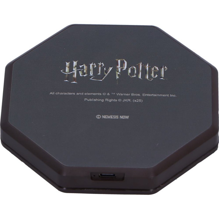 Harry Potter Hogwarts Cas