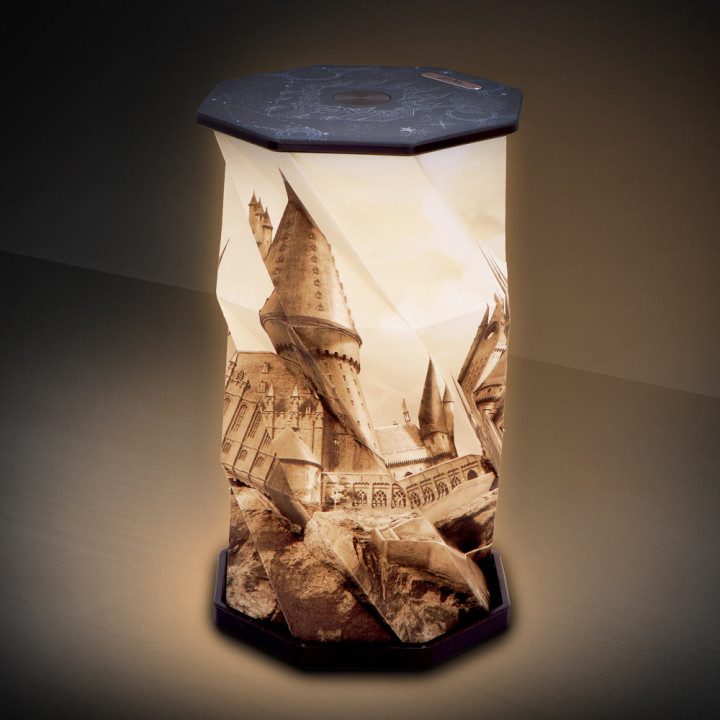 Harry Potter Hogwarts Cas