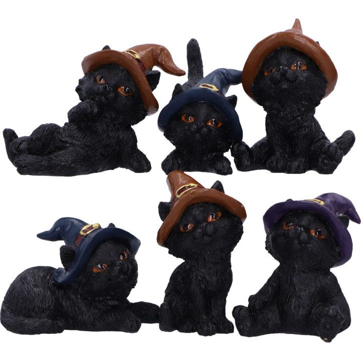 Coven Keepers  (Replaceme