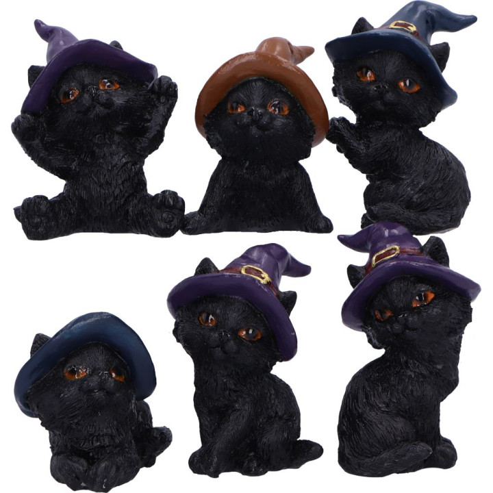 Coven Keepers  (Replaceme