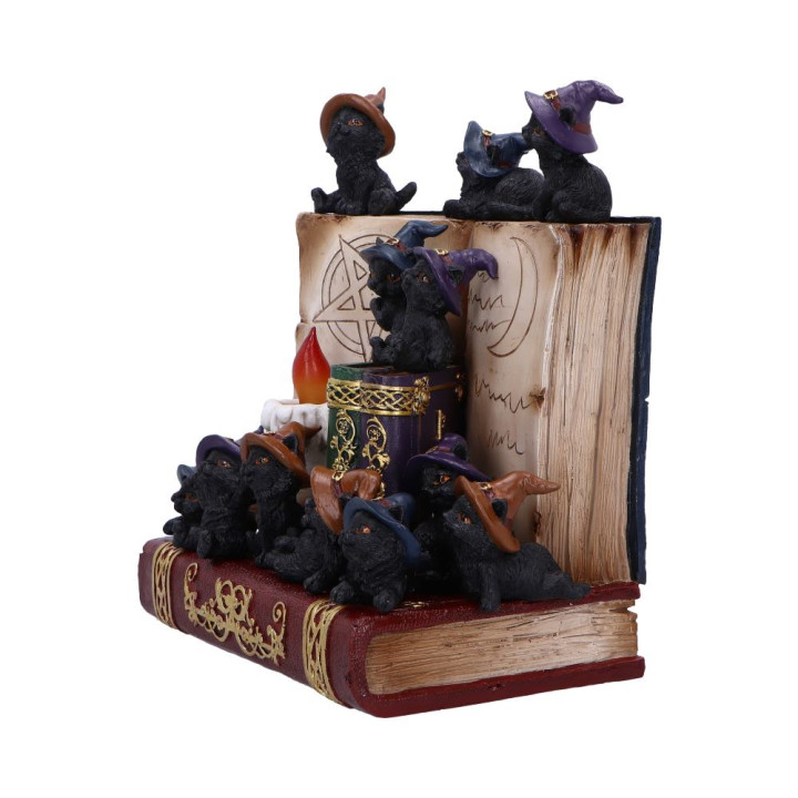 Coven Keepers (Display St