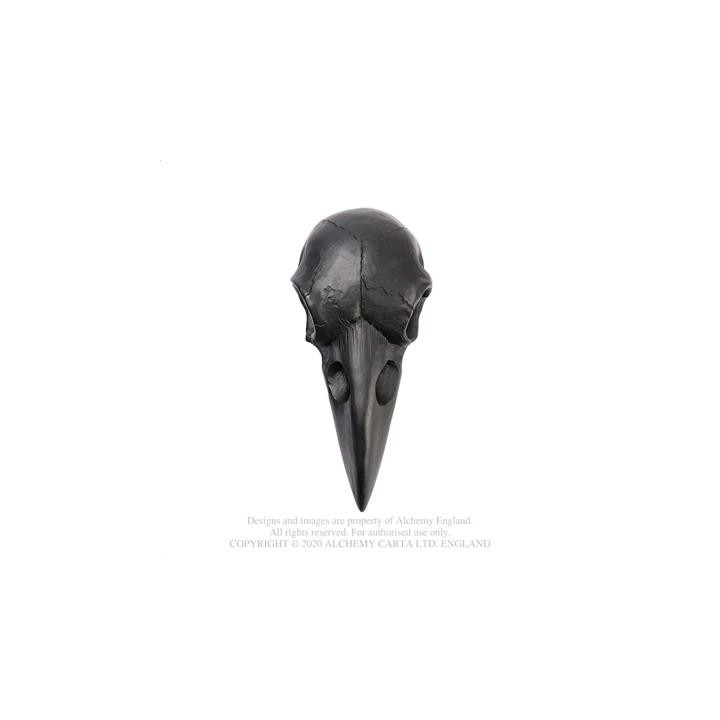 Raven Skull Hand Mirror -