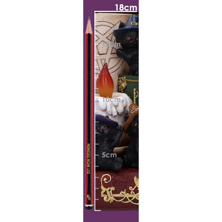 Coven Keepers (Display St
