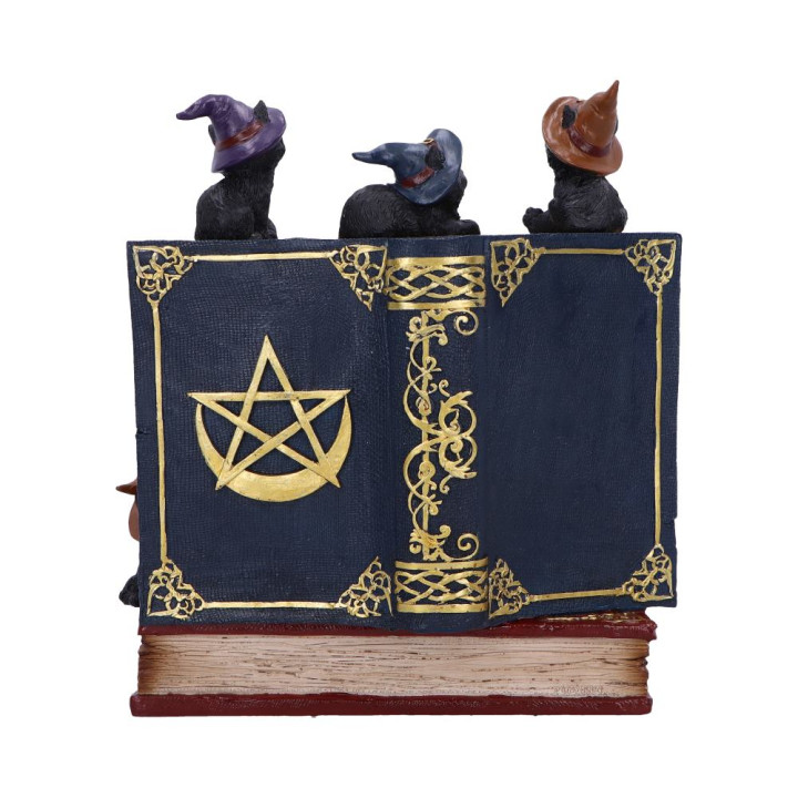 Coven Keepers (Display St
