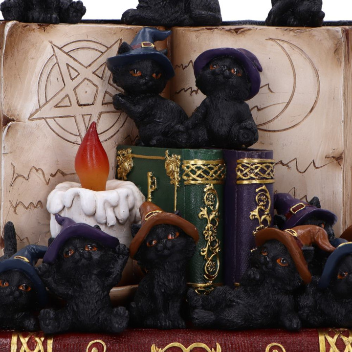 Coven Keepers (Display St