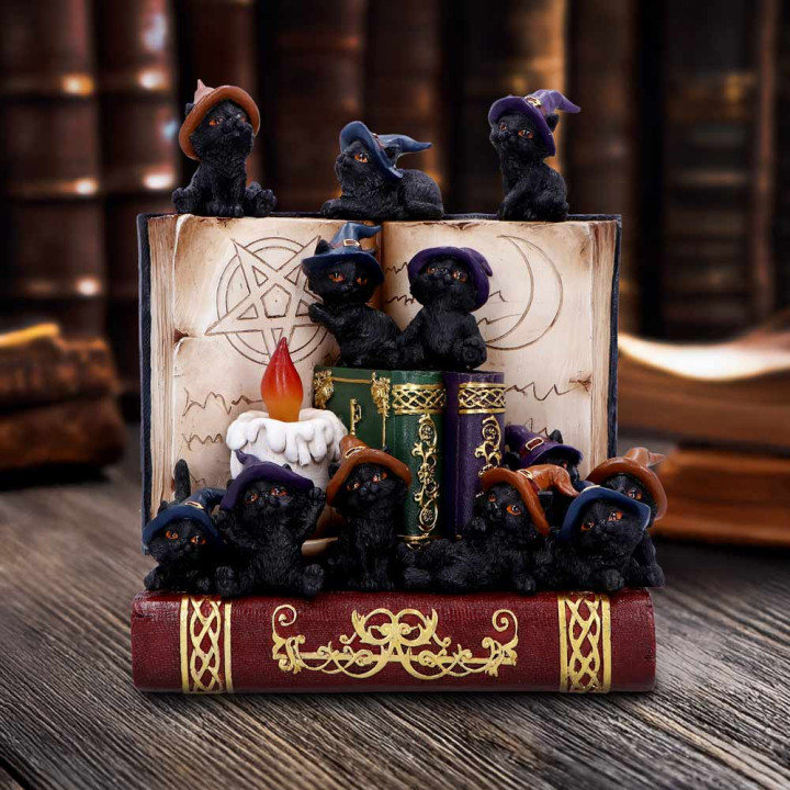 Coven Keepers (Display St