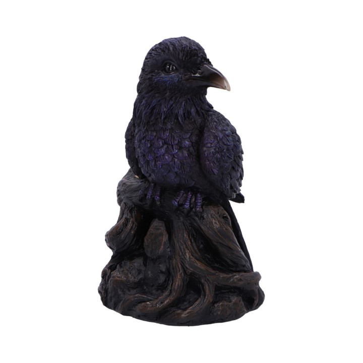 Raven Roost Backflow Ince