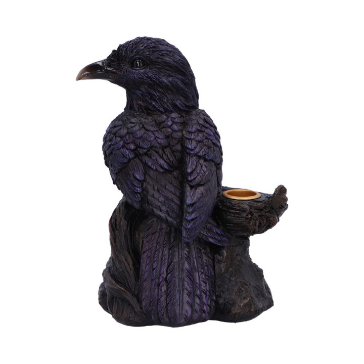 Raven Roost Backflow Ince