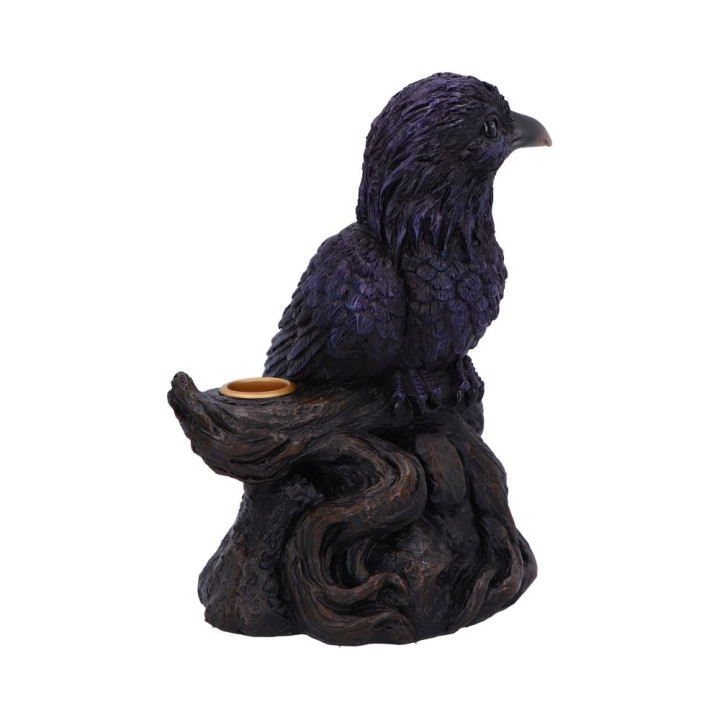 Raven Roost Backflow Ince