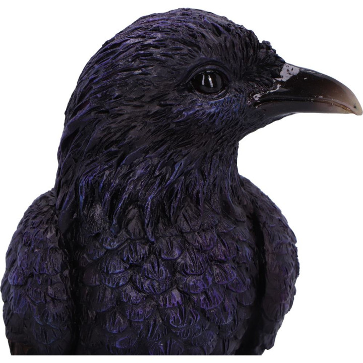 Raven Roost Backflow Ince