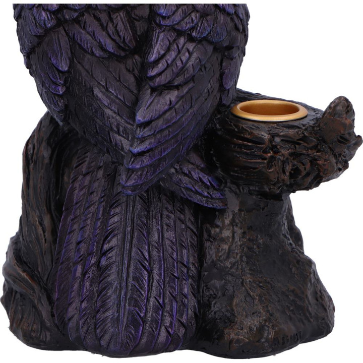 Raven Roost Backflow Ince