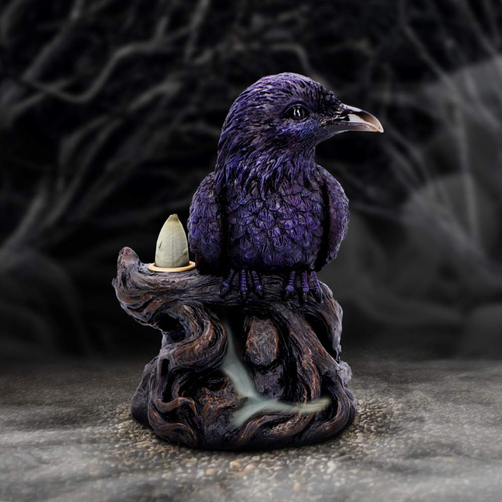Raven Roost Backflow Ince